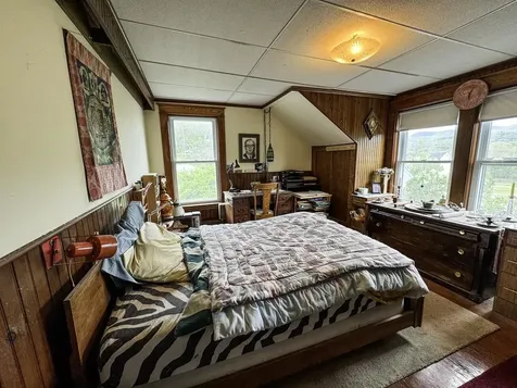 88 Mill Hill Barnet VT 05821