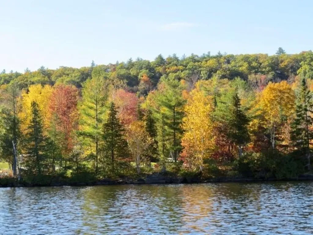 404 West Shore Road Salisbury VT 05769