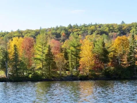 404 West Shore Road Salisbury VT 05769