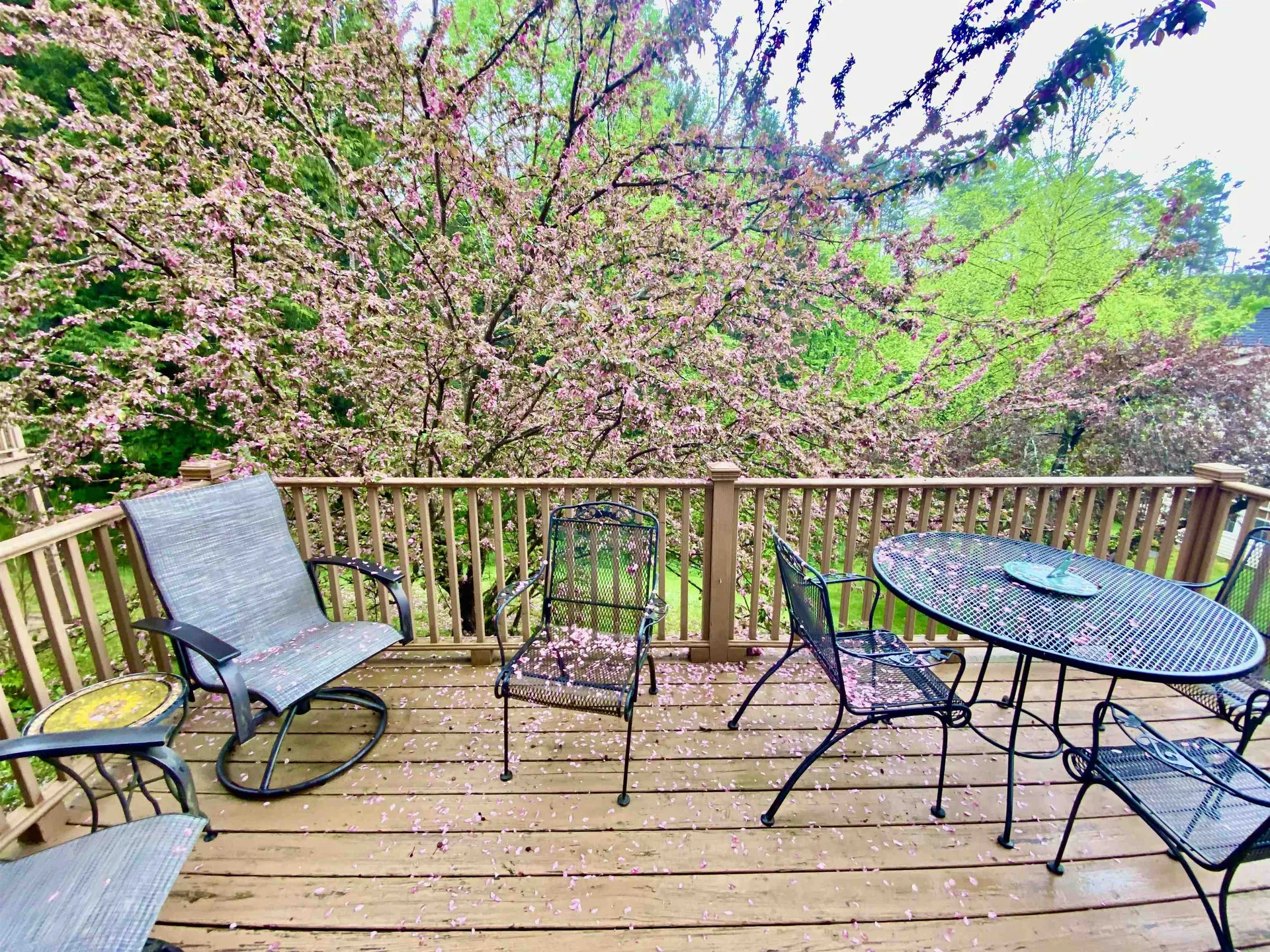 85 Townhouse Way Woodstock VT 05091