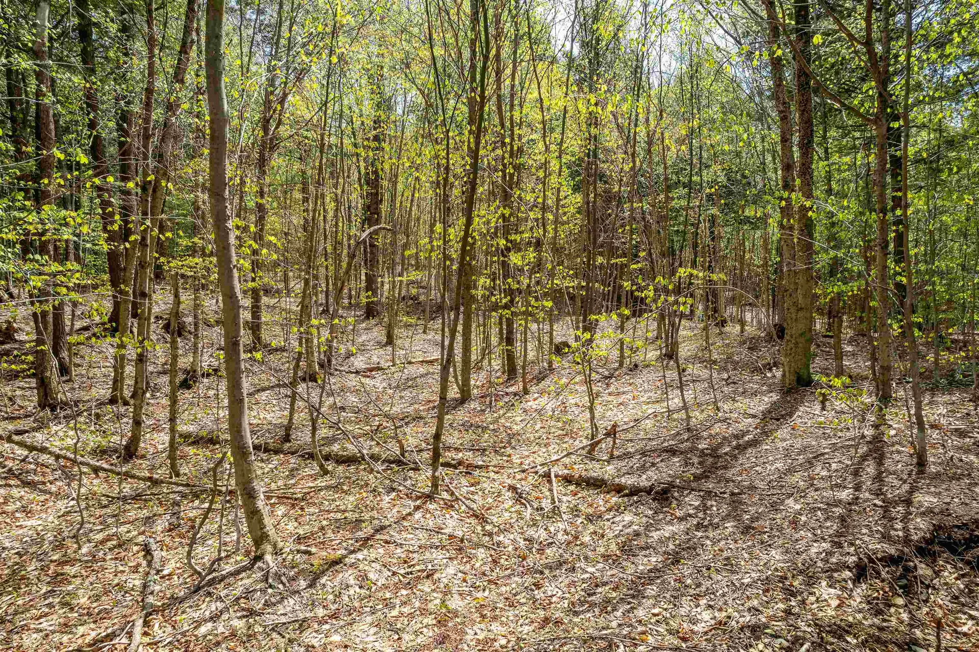 00 Chapel Hill Road Sharon VT 05065