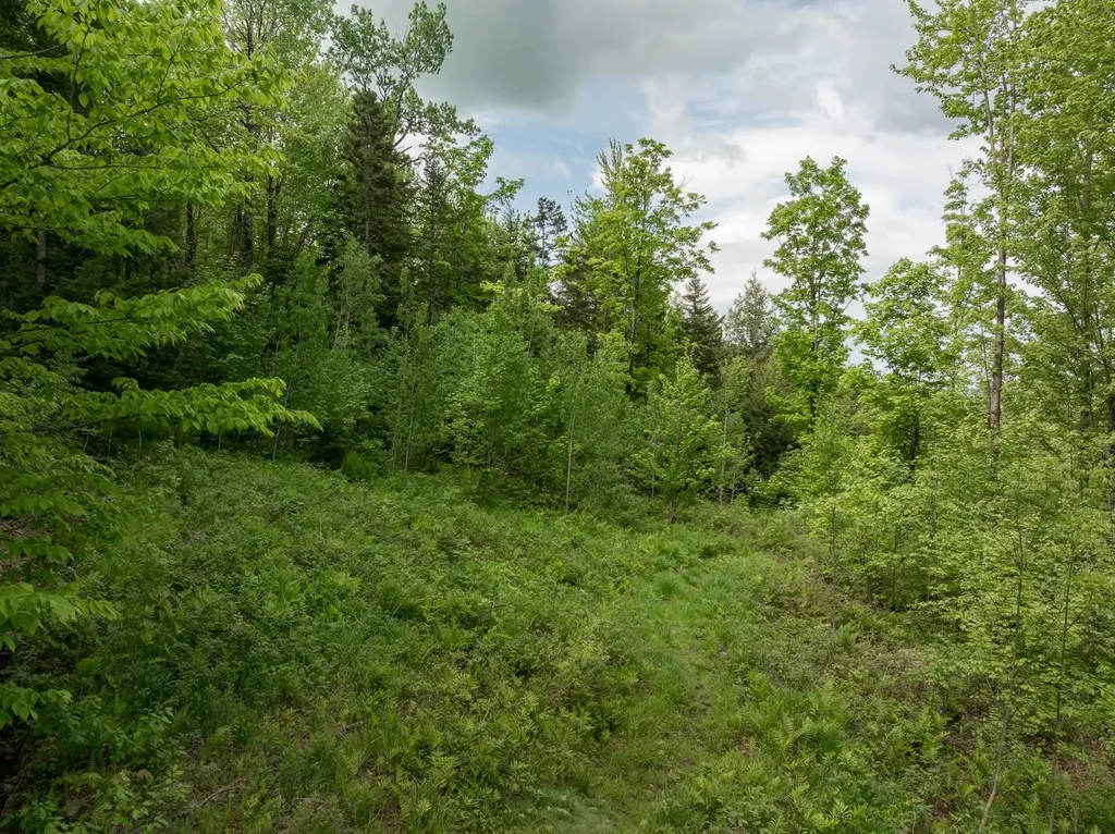 00 Bear Creek Lane Waterbury VT 05671