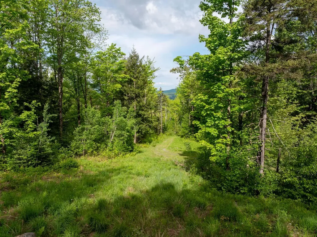 00 Bear Creek Lane Waterbury VT 05671
