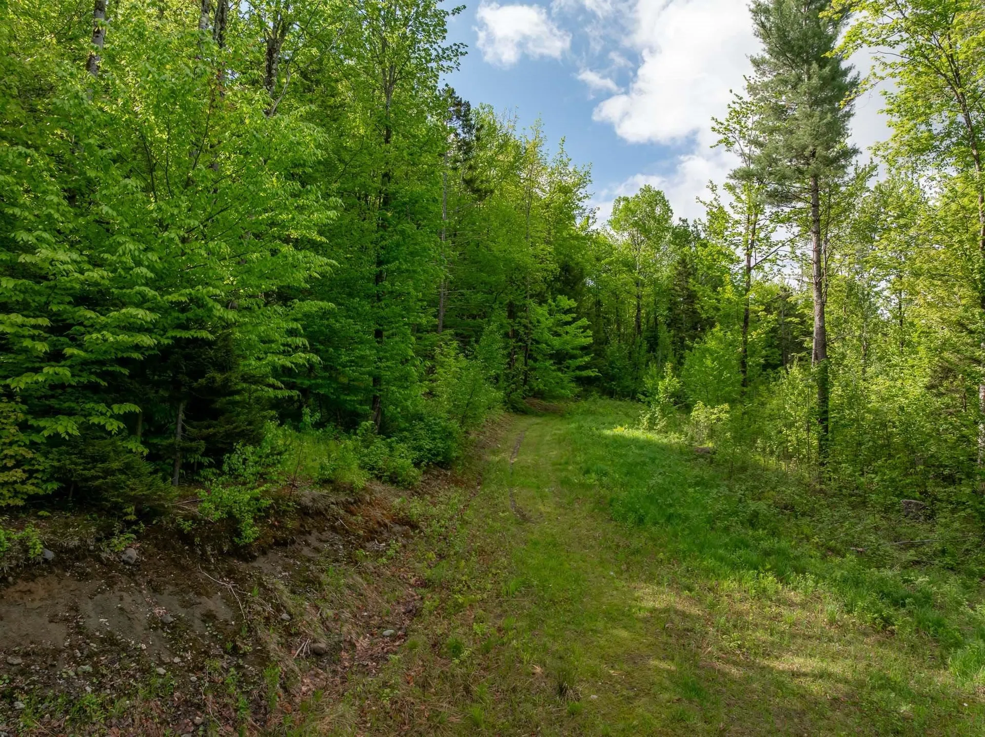 00 Bear Creek Lane Waterbury VT 05671