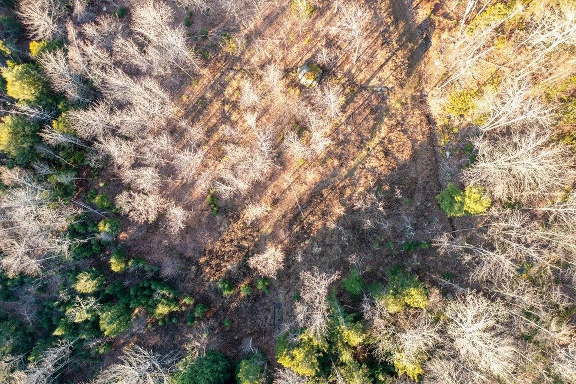 00 Bear Creek Lane Waterbury VT 05671