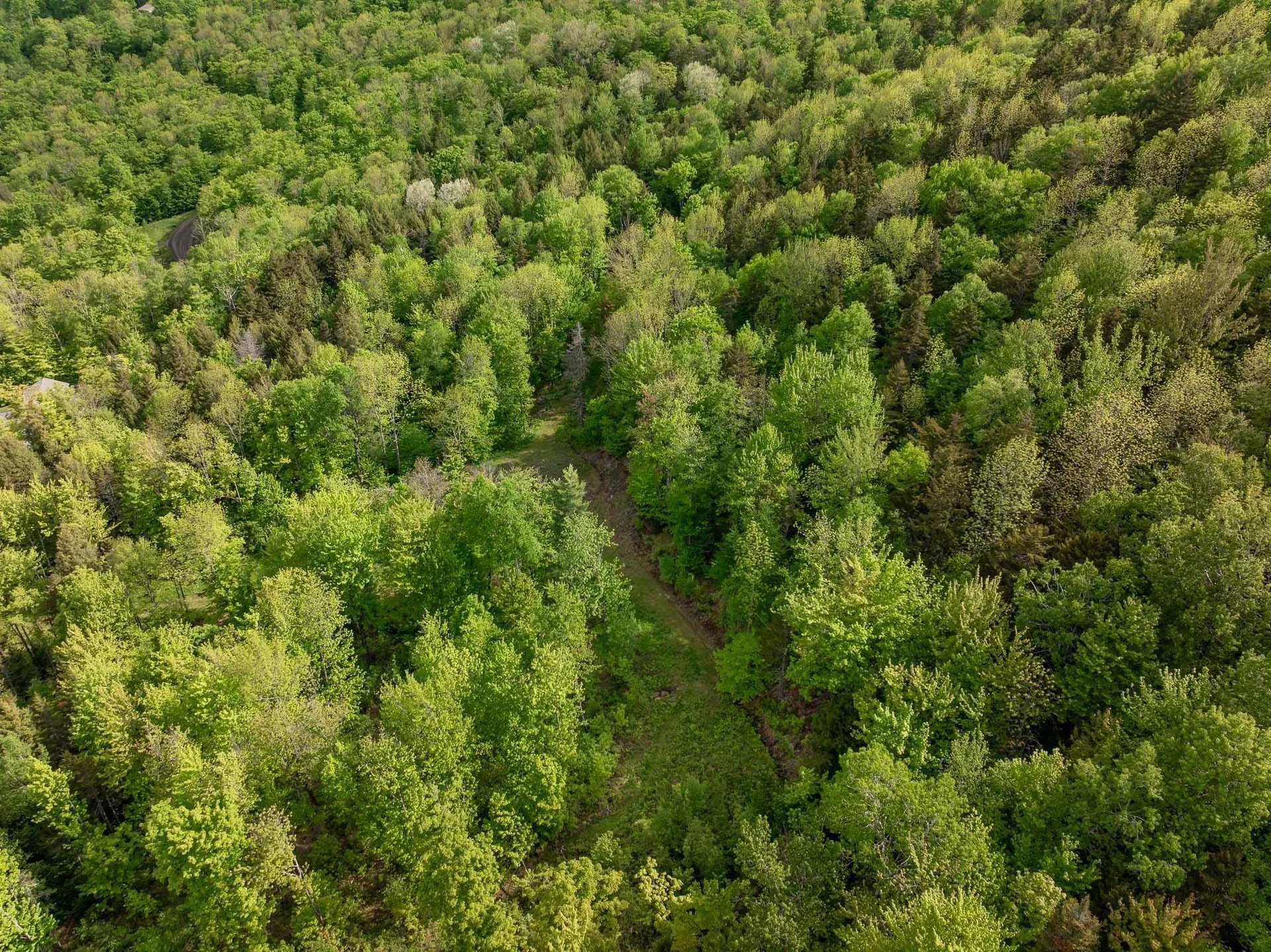 00 Bear Creek Lane Waterbury VT 05671