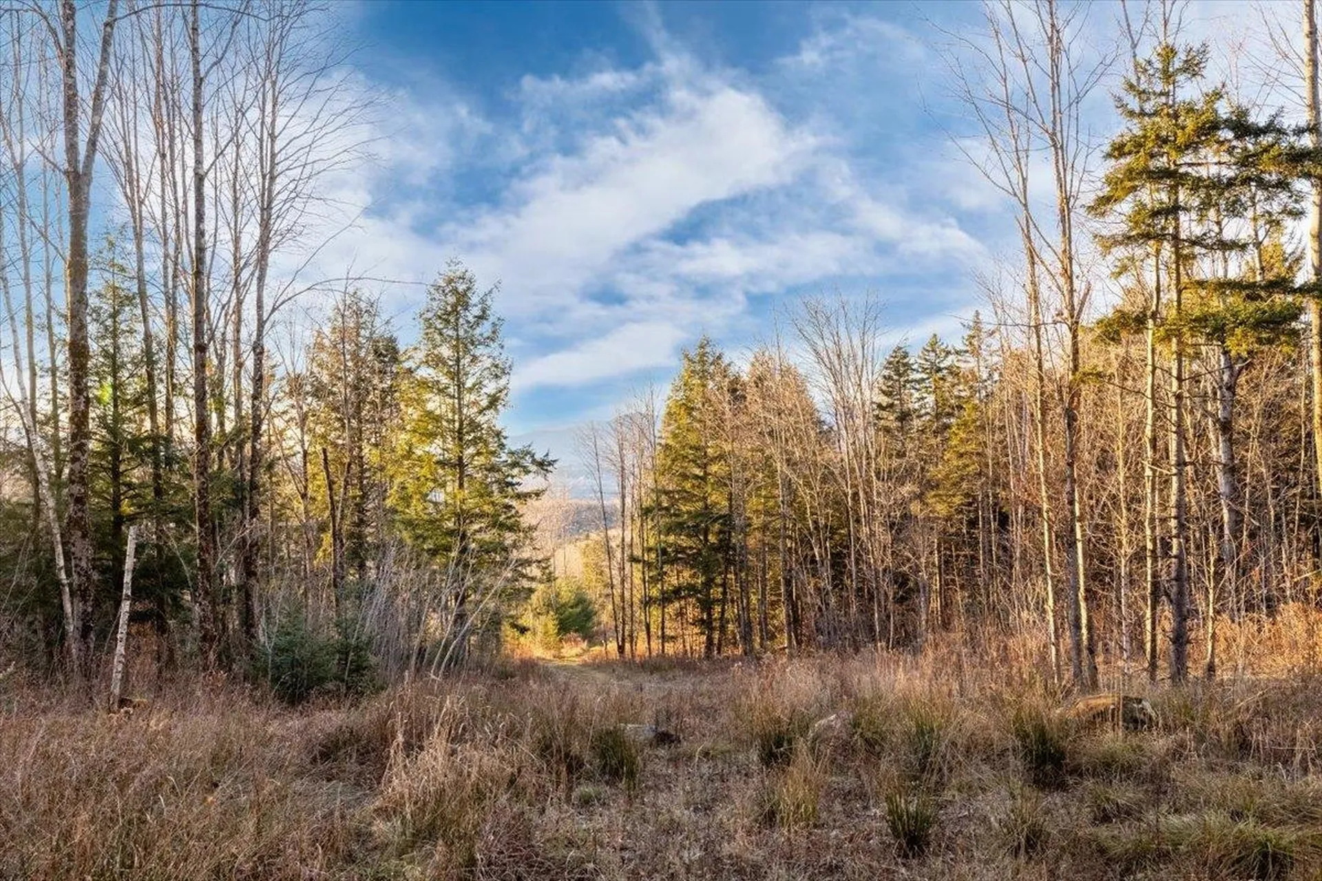 00 Bear Creek Lane Waterbury VT 05671