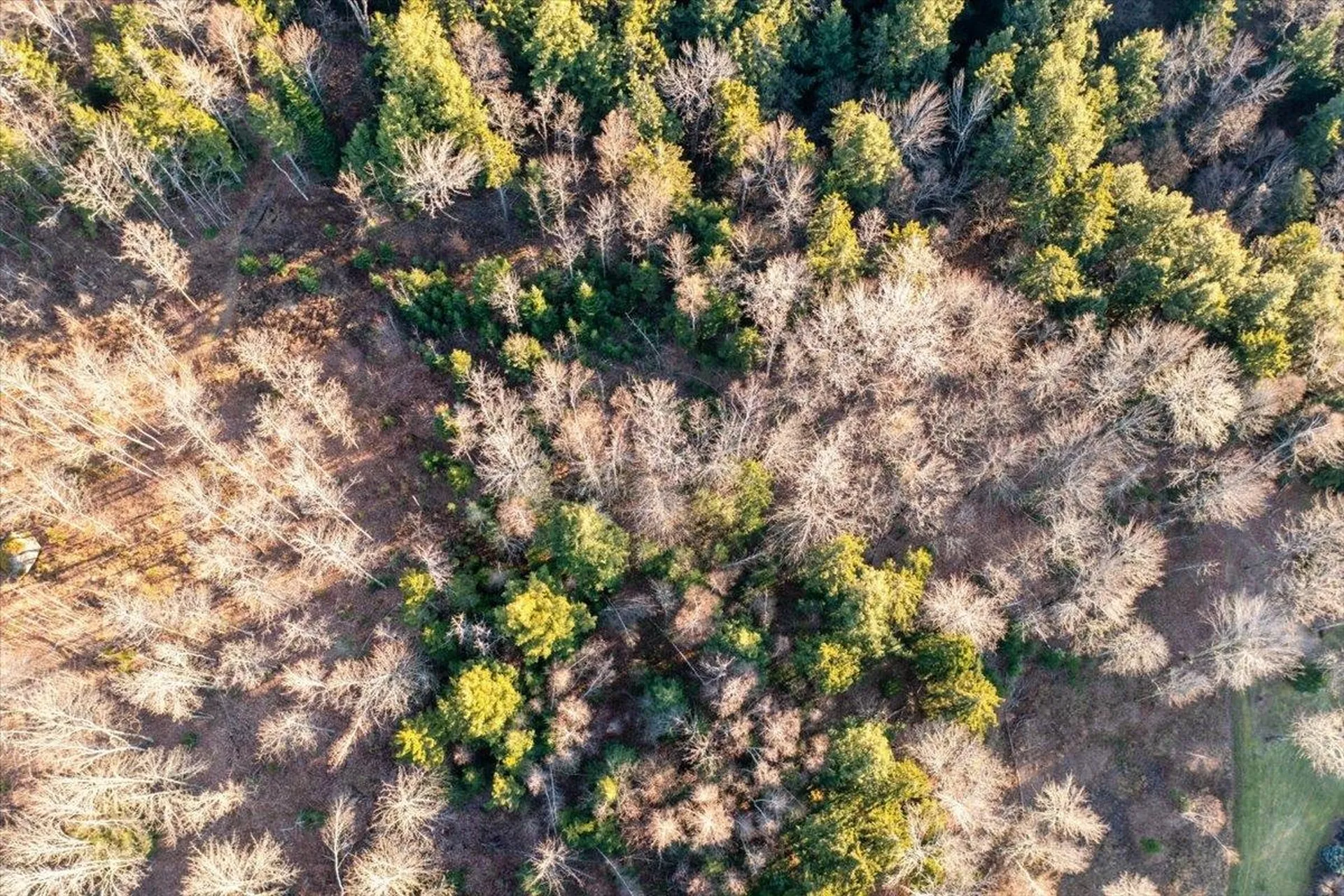 00 Bear Creek Lane Waterbury VT 05671