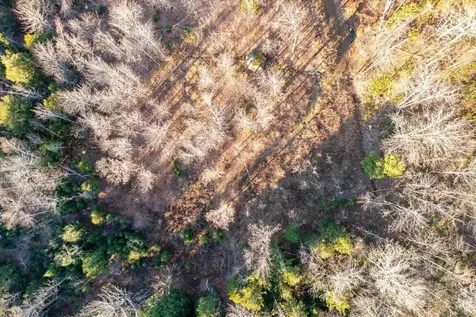 00 Bear Creek Lane Waterbury VT 05671