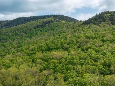 00 Bear Creek Lane Waterbury VT 05671