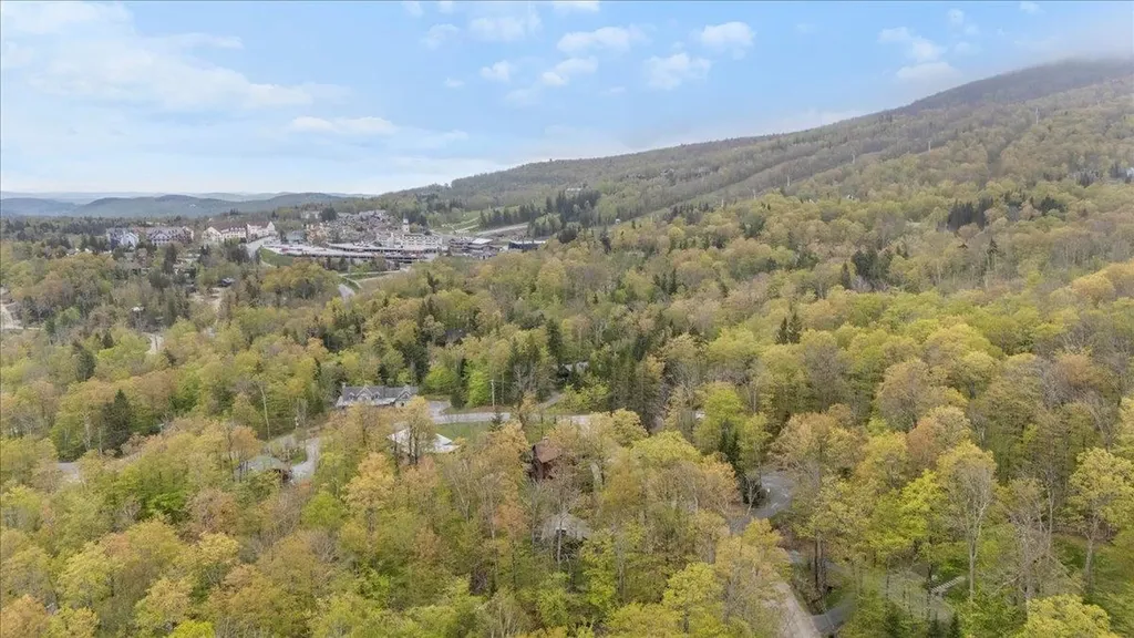 6 Roundtree Road Winhall VT 05340