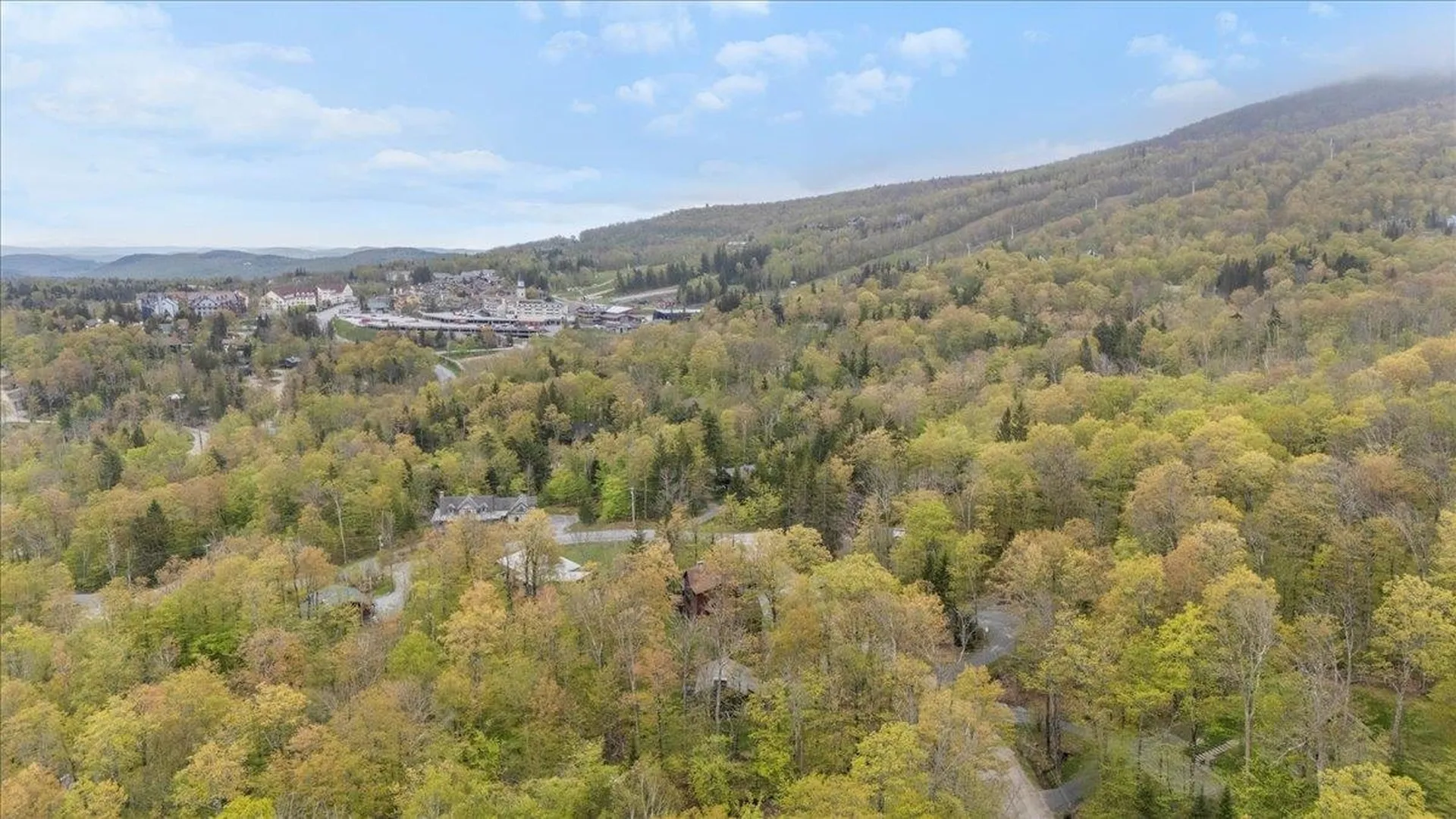 6 Roundtree Road Winhall VT 05340