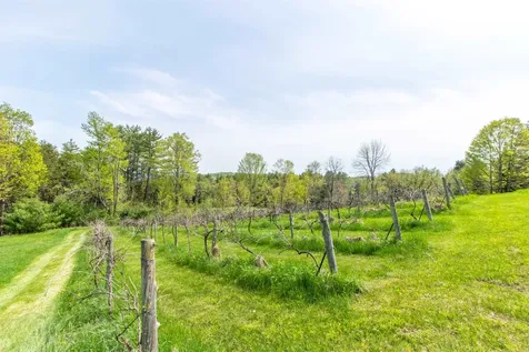 175 Maple Lane Danville VT 05828