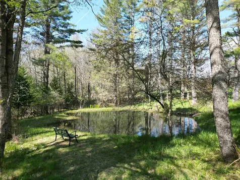 175 Maple Lane Danville VT 05828