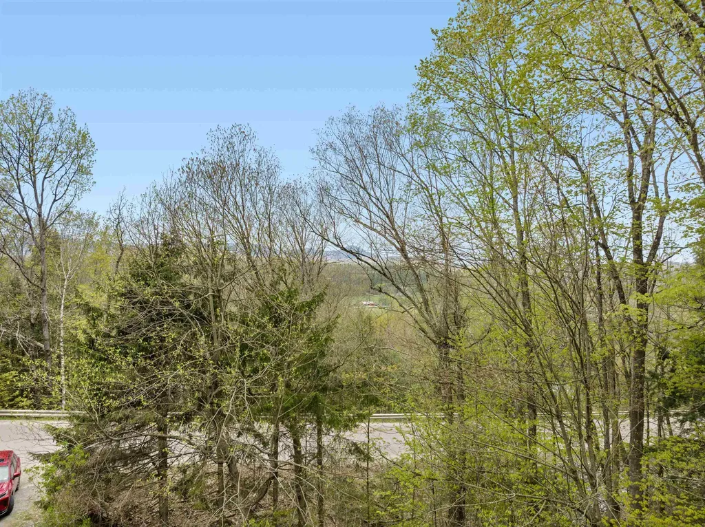 223 Mansfield View Road Stowe VT 05672