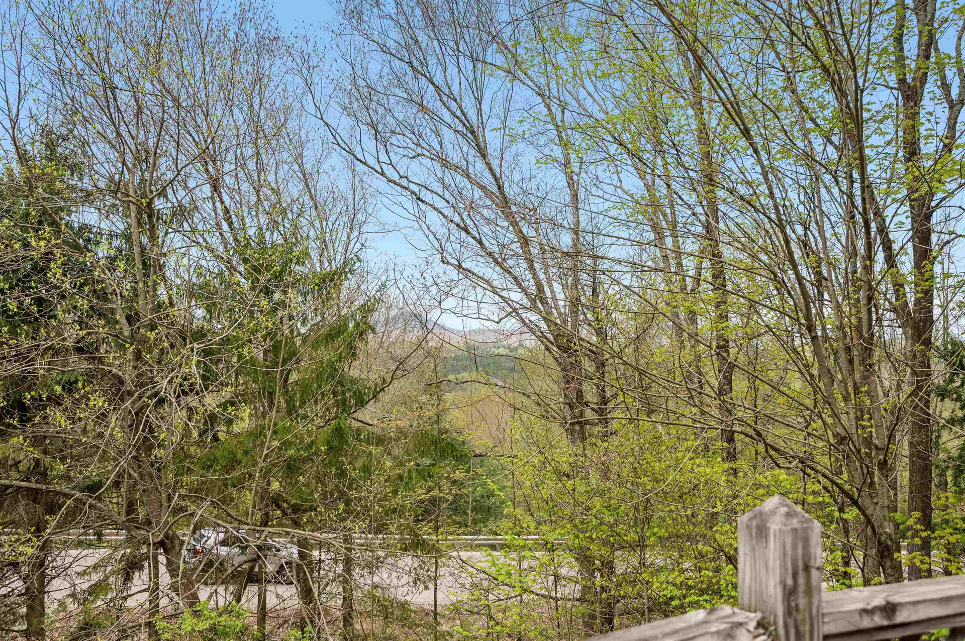 223 Mansfield View Road Stowe VT 05672