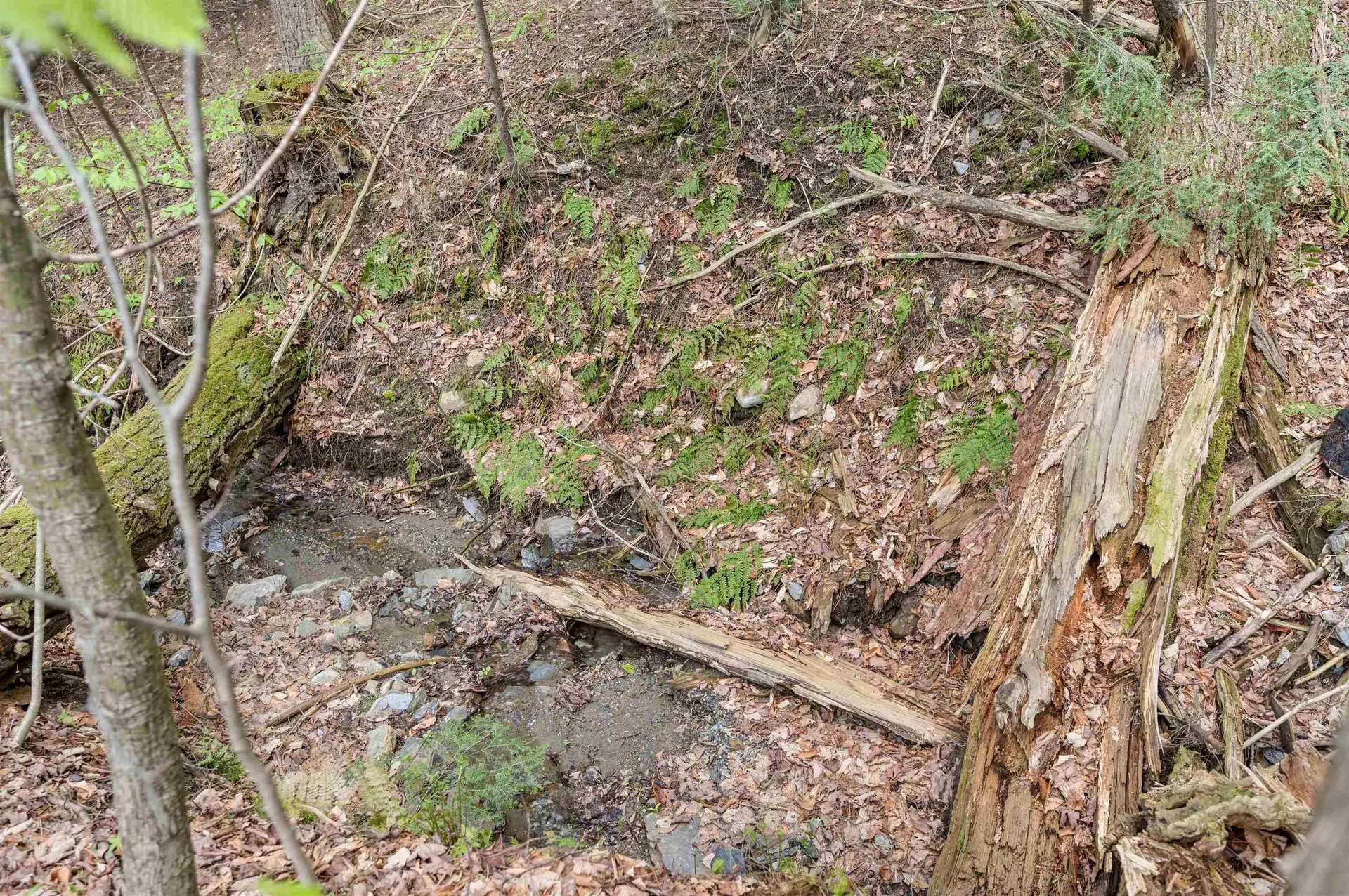 223 Mansfield View Road Stowe VT 05672