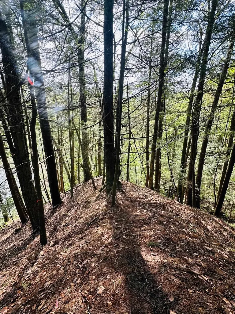 41 Old Depot Road Putney VT 05346