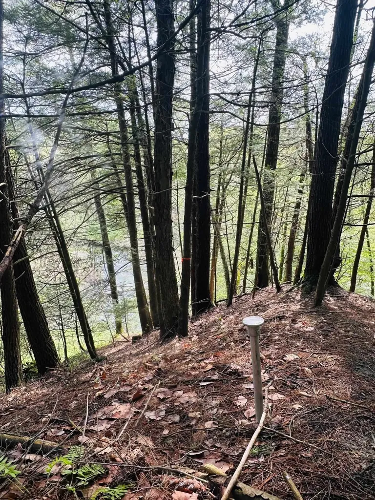 41 Old Depot Road Putney VT 05346