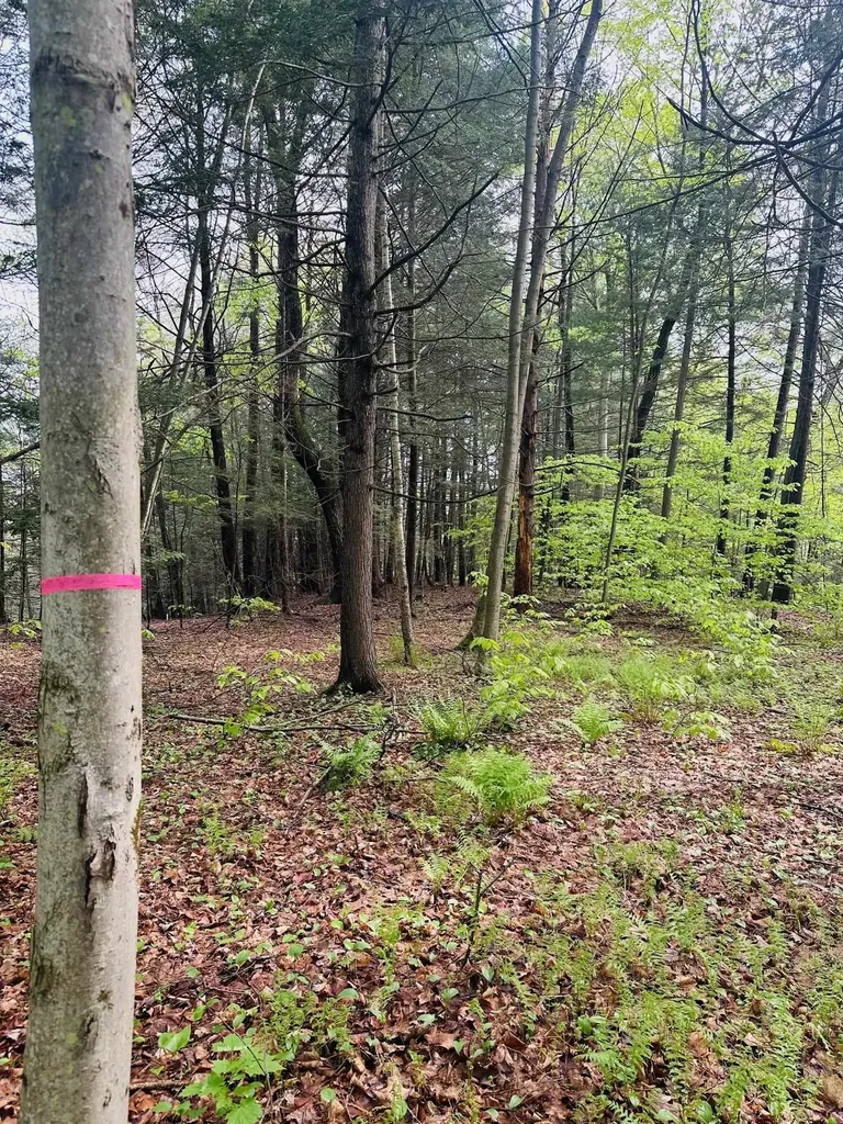 41 Old Depot Road Putney VT 05346