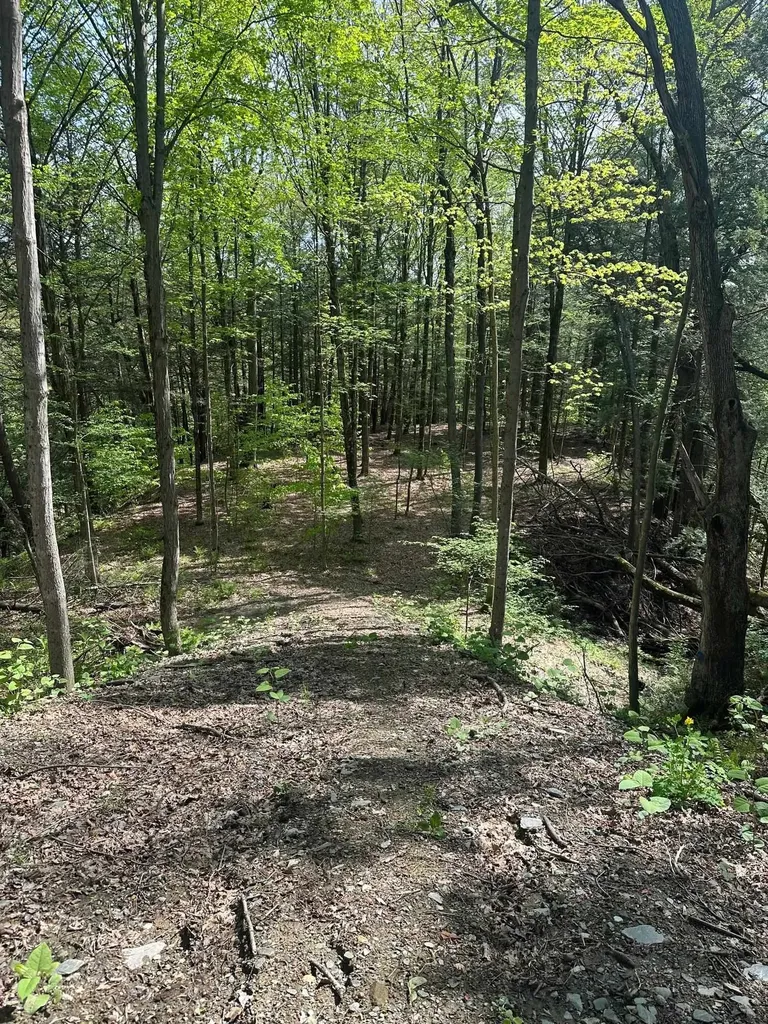 41 Old Depot Road Putney VT 05346