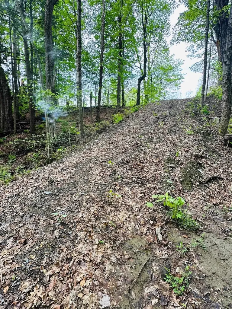 41 Old Depot Road Putney VT 05346