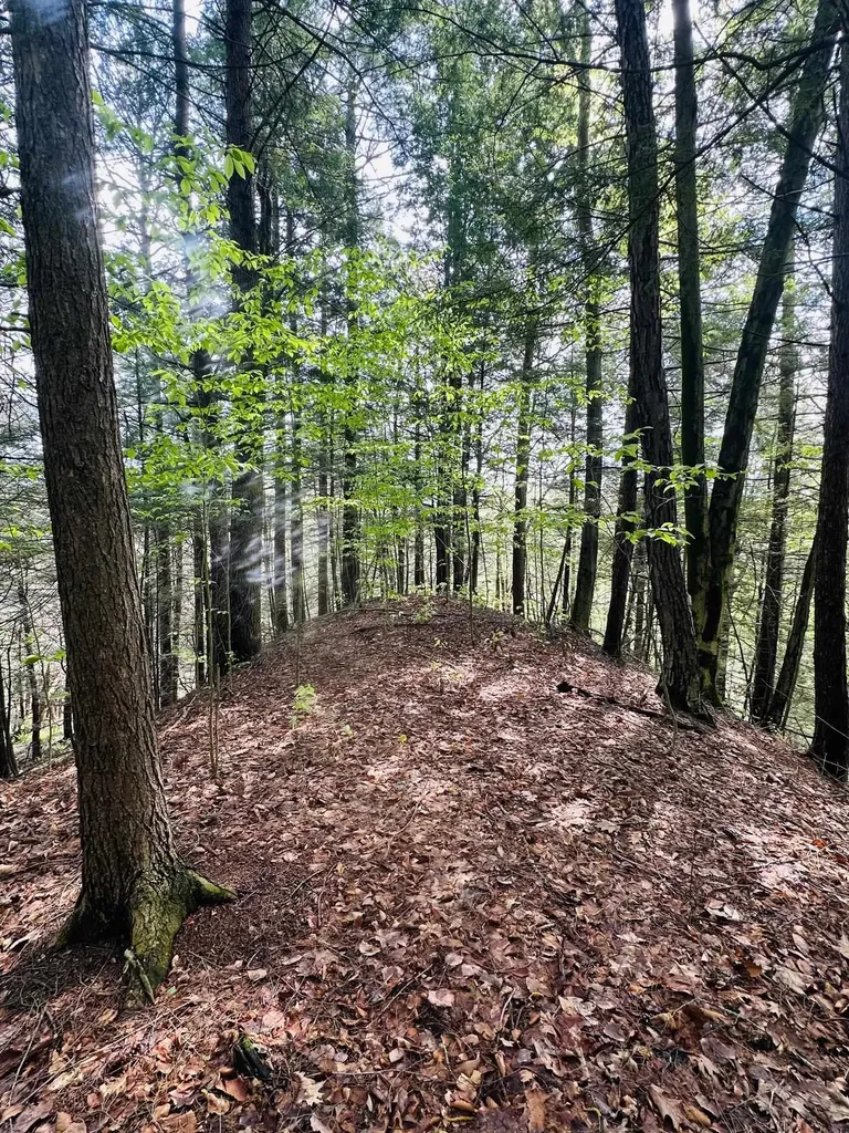 41 Old Depot Road Putney VT 05346