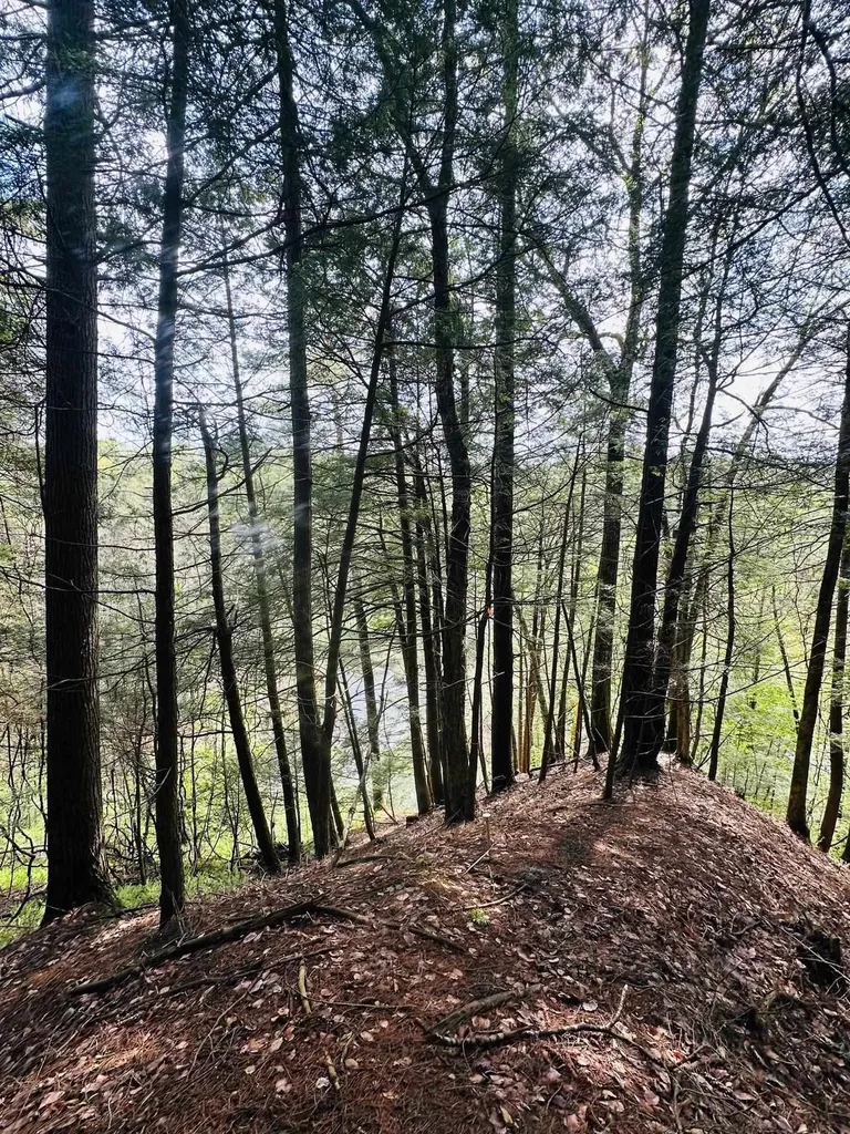 41 Old Depot Road Putney VT 05346