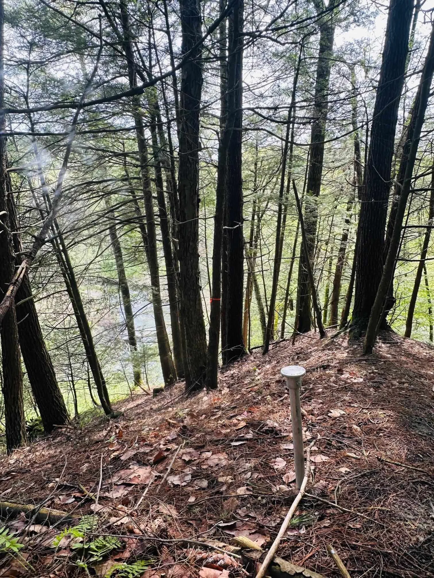 41 Old Depot Road Putney VT 05346