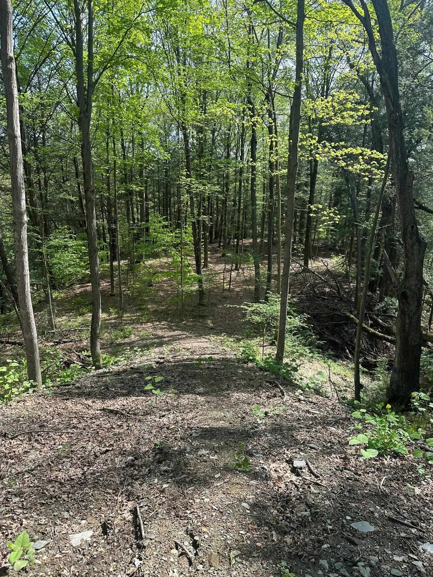 41 Old Depot Road Putney VT 05346