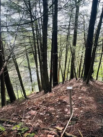 41 Old Depot Road Putney VT 05346