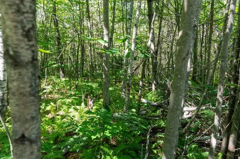 2 Boulder Point Drive Plymouth NH 03264