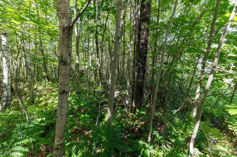 2 Boulder Point Drive Plymouth NH 03264