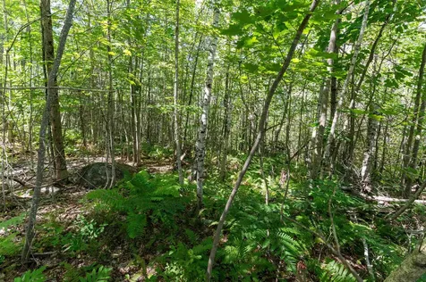 2 Boulder Point Drive Plymouth NH 03264