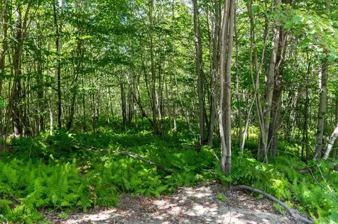 2 Boulder Point Drive Plymouth NH 03264