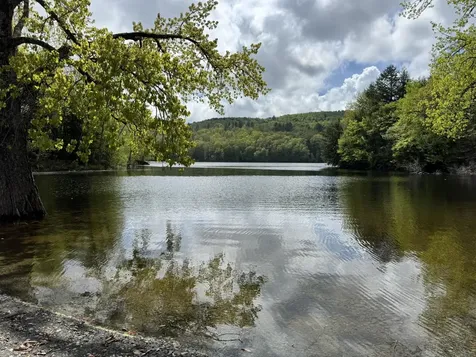 712 Stimpson Hill Road Whitingham VT 05361