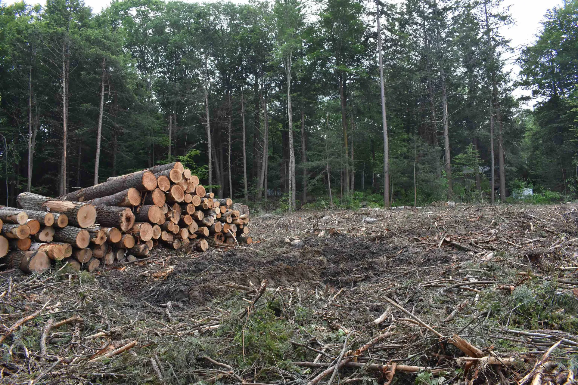 00 Marcy Hill Road Swanzey NH 03446