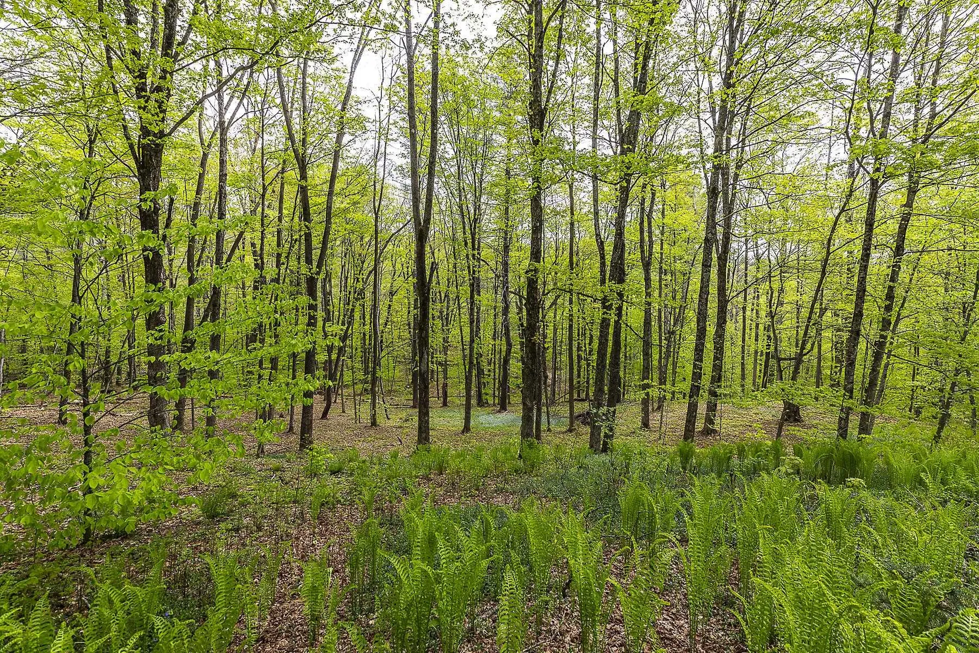 258 Densmore Hill Road Hartland VT 05048