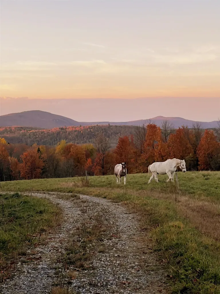 825 Centebar Road Albany VT 05820