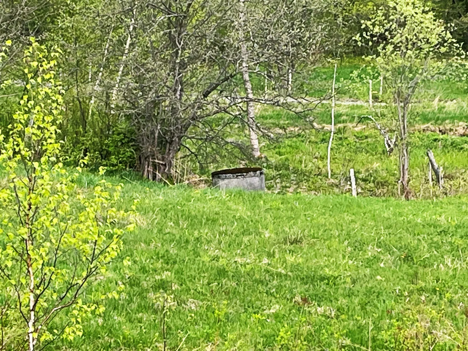 825 Centebar Road Albany VT 05820