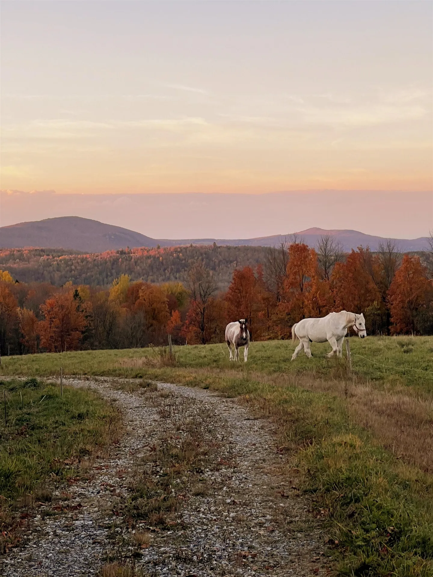 825 Centebar Road Albany VT 05820