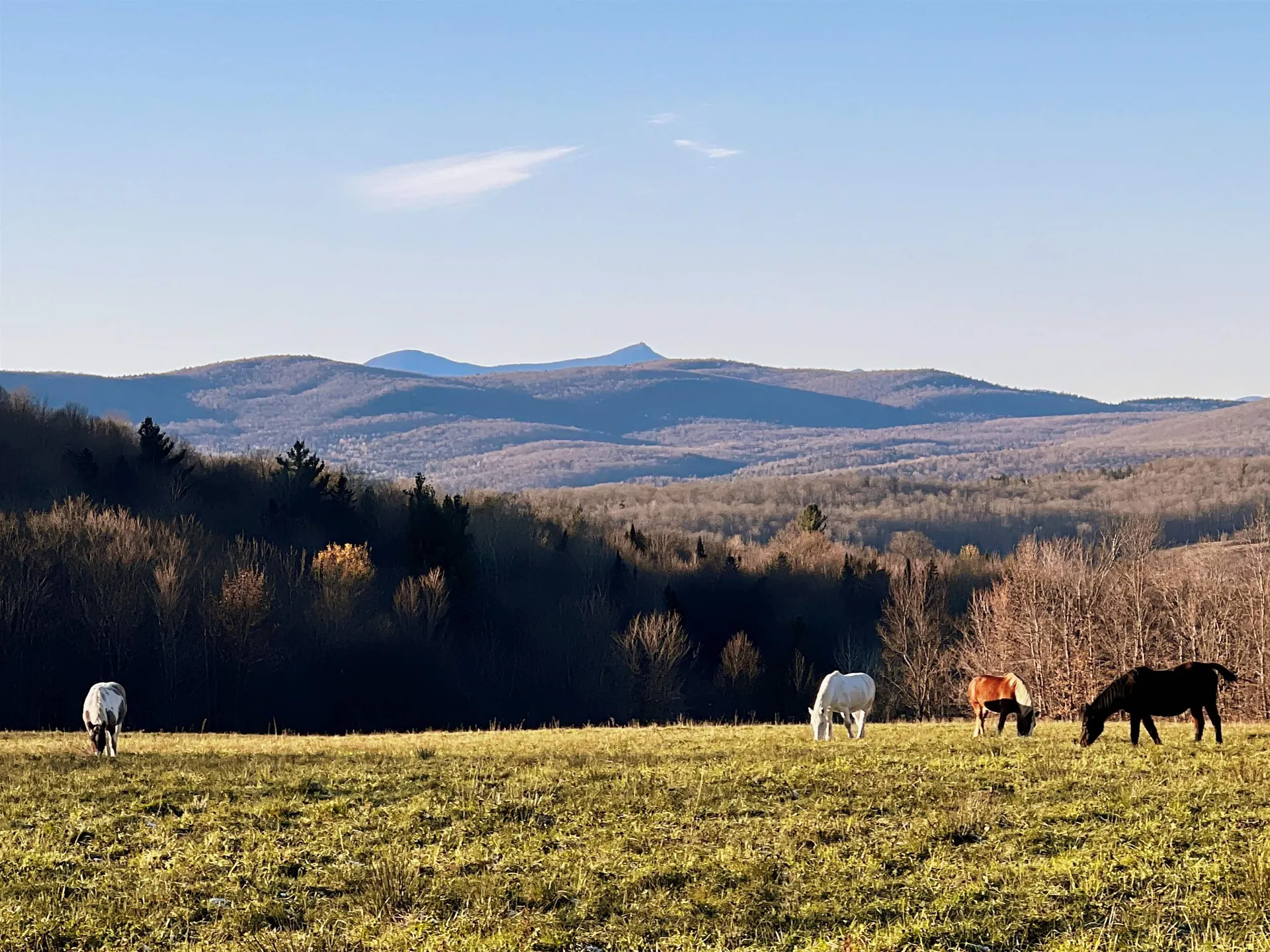 825 Centebar Road Albany VT 05820