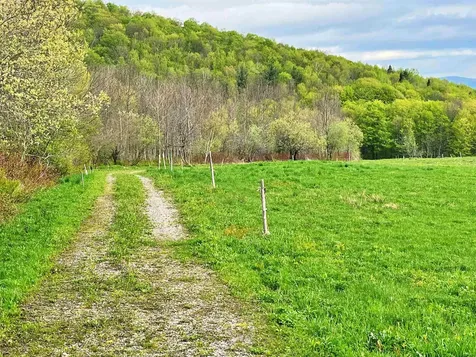 825 Centebar Road Albany VT 05820