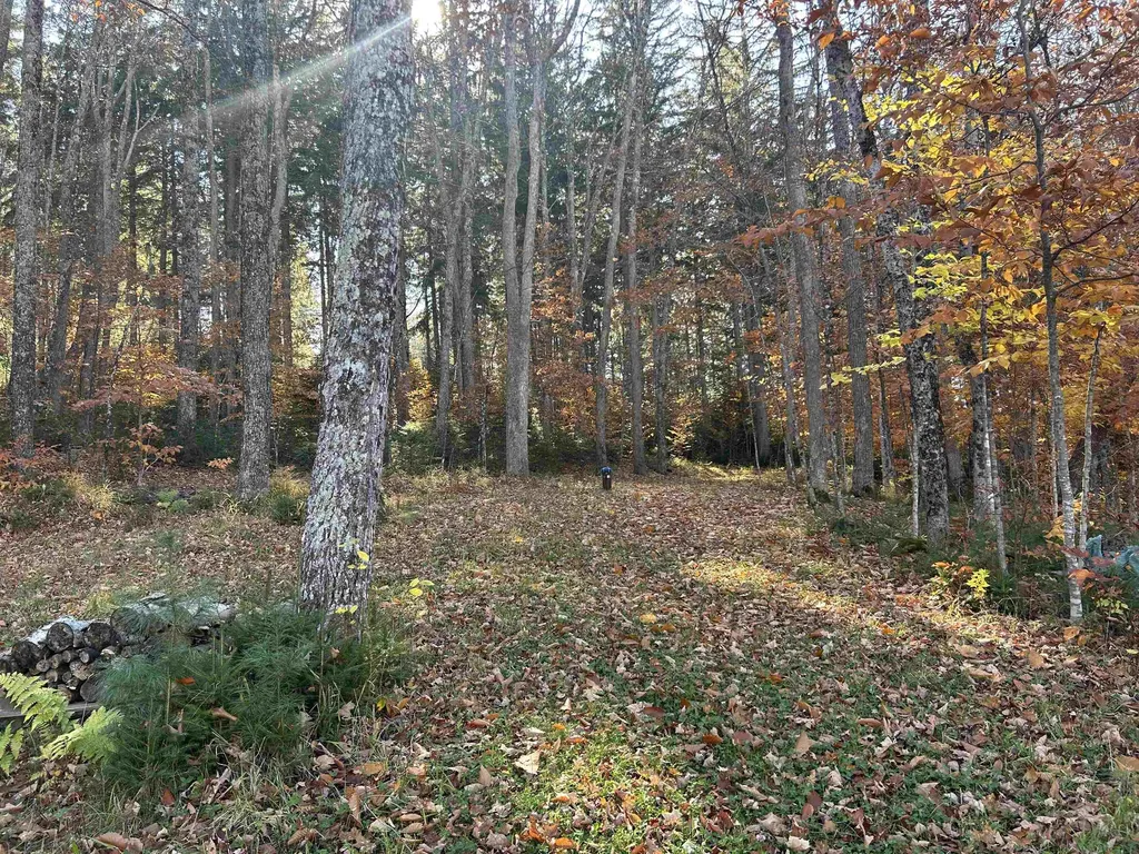 1578 Downer Road Sharon VT 05065-9712