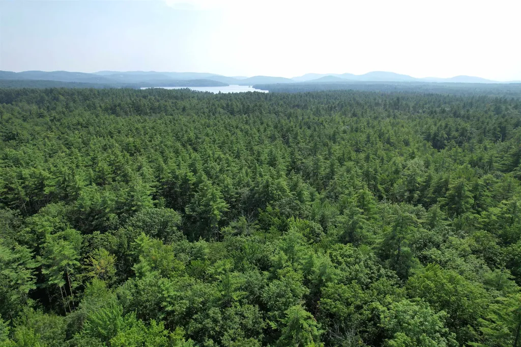 80 Mill Street Conway NH 03813