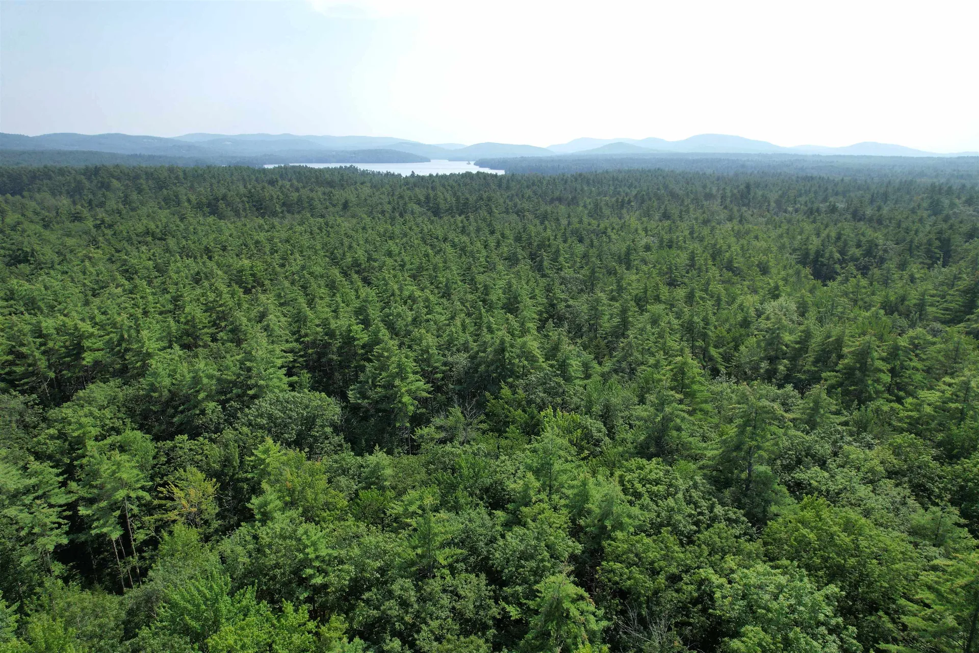 80 Mill Street Conway NH 03813