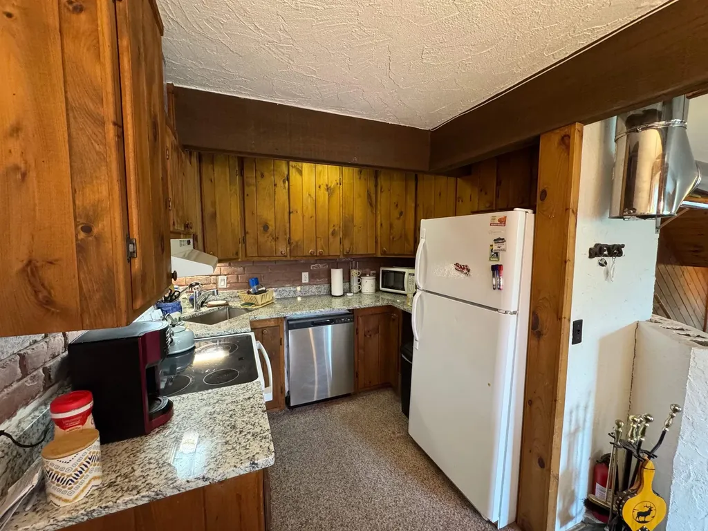 301C Route 100 Dover VT 05356