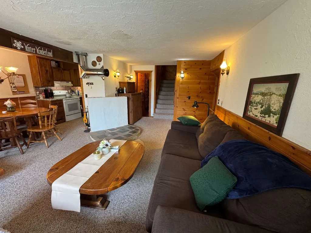 301C Route 100 Dover VT 05356