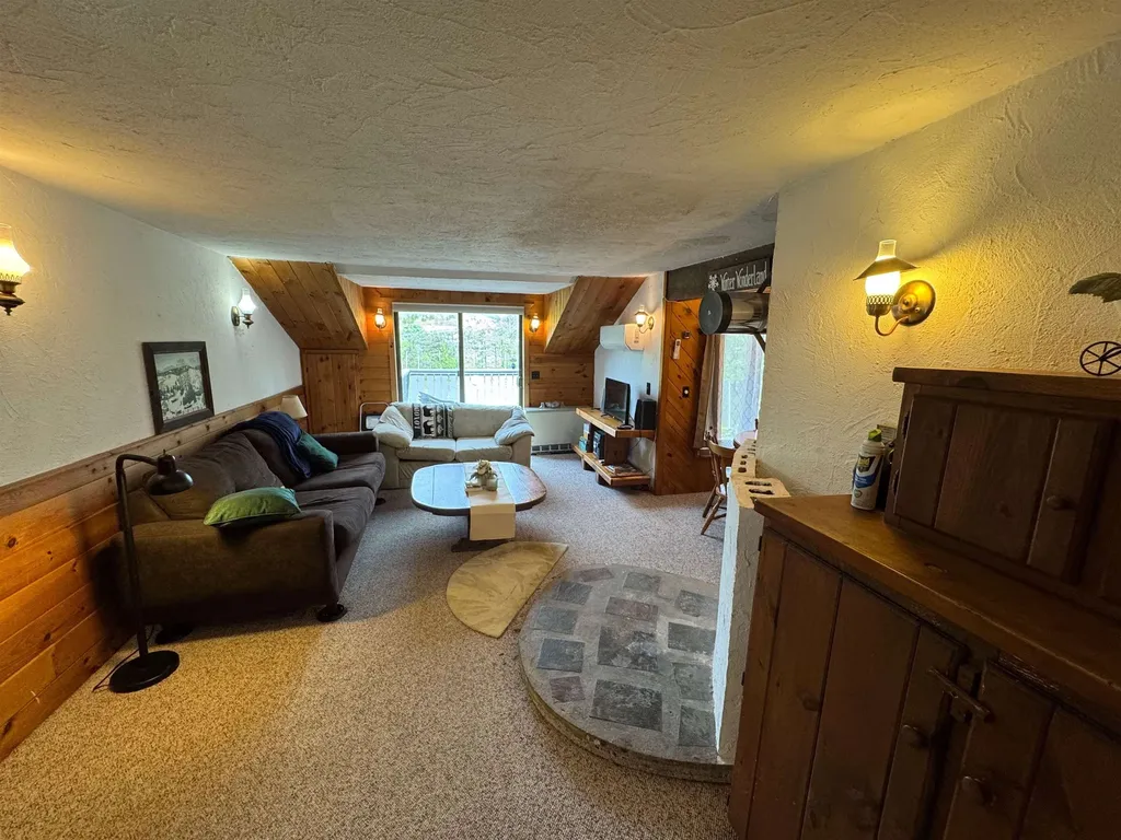 301C Route 100 Dover VT 05356