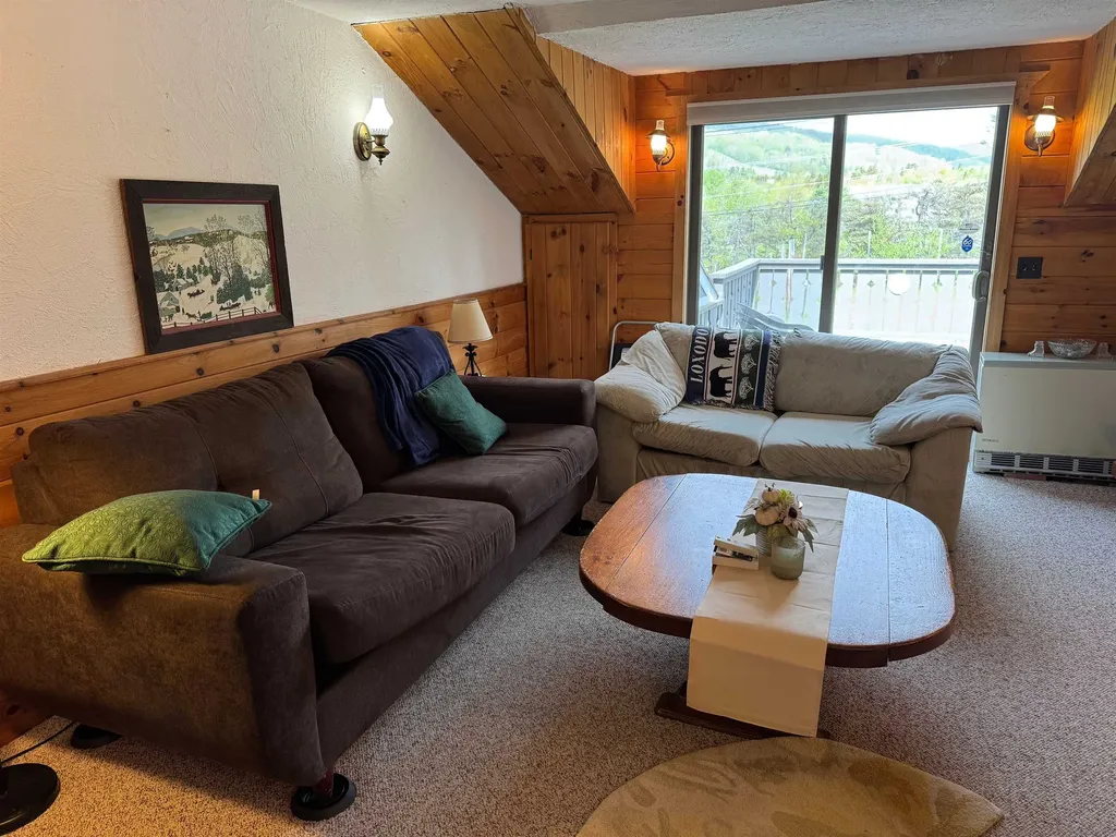 301C Route 100 Dover VT 05356